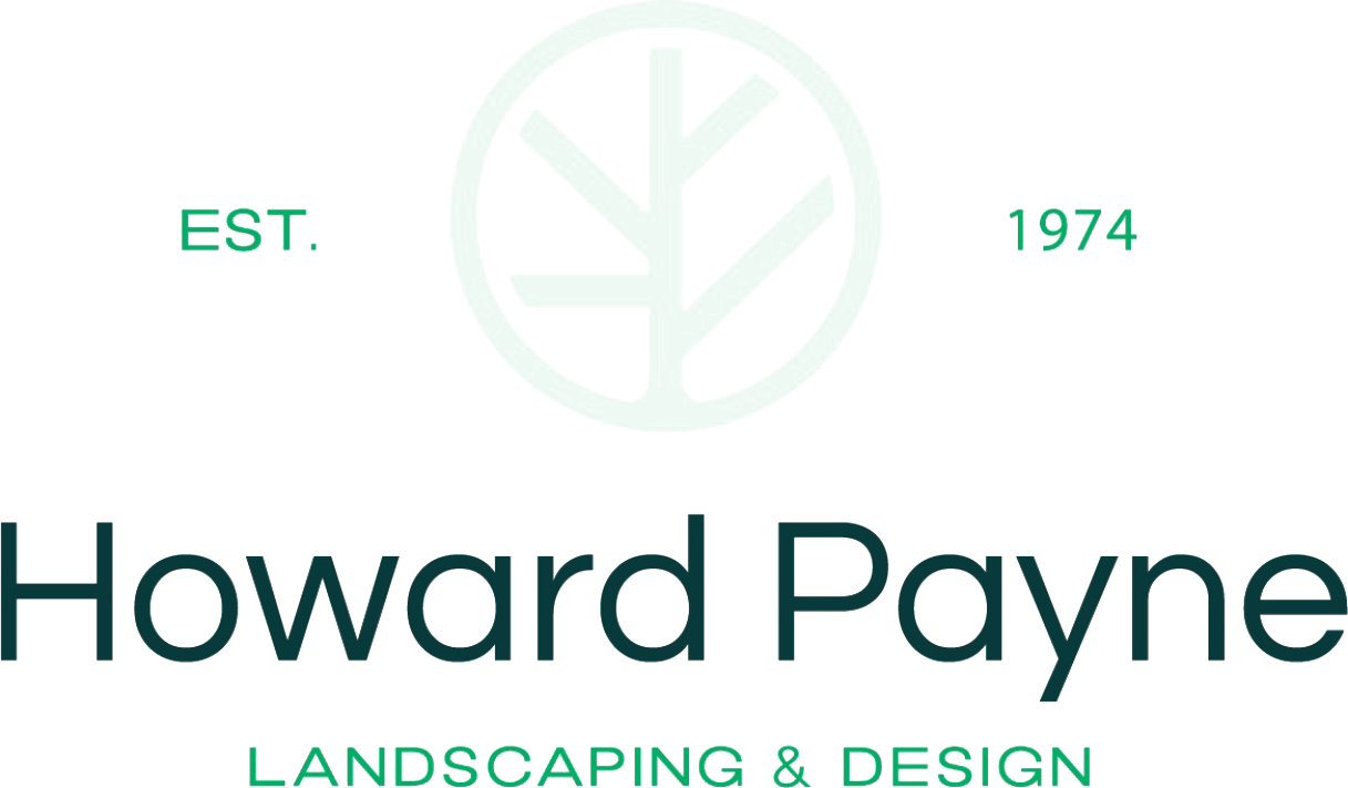 sponsor-image