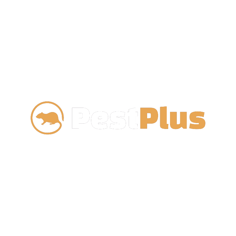 sponsor-image