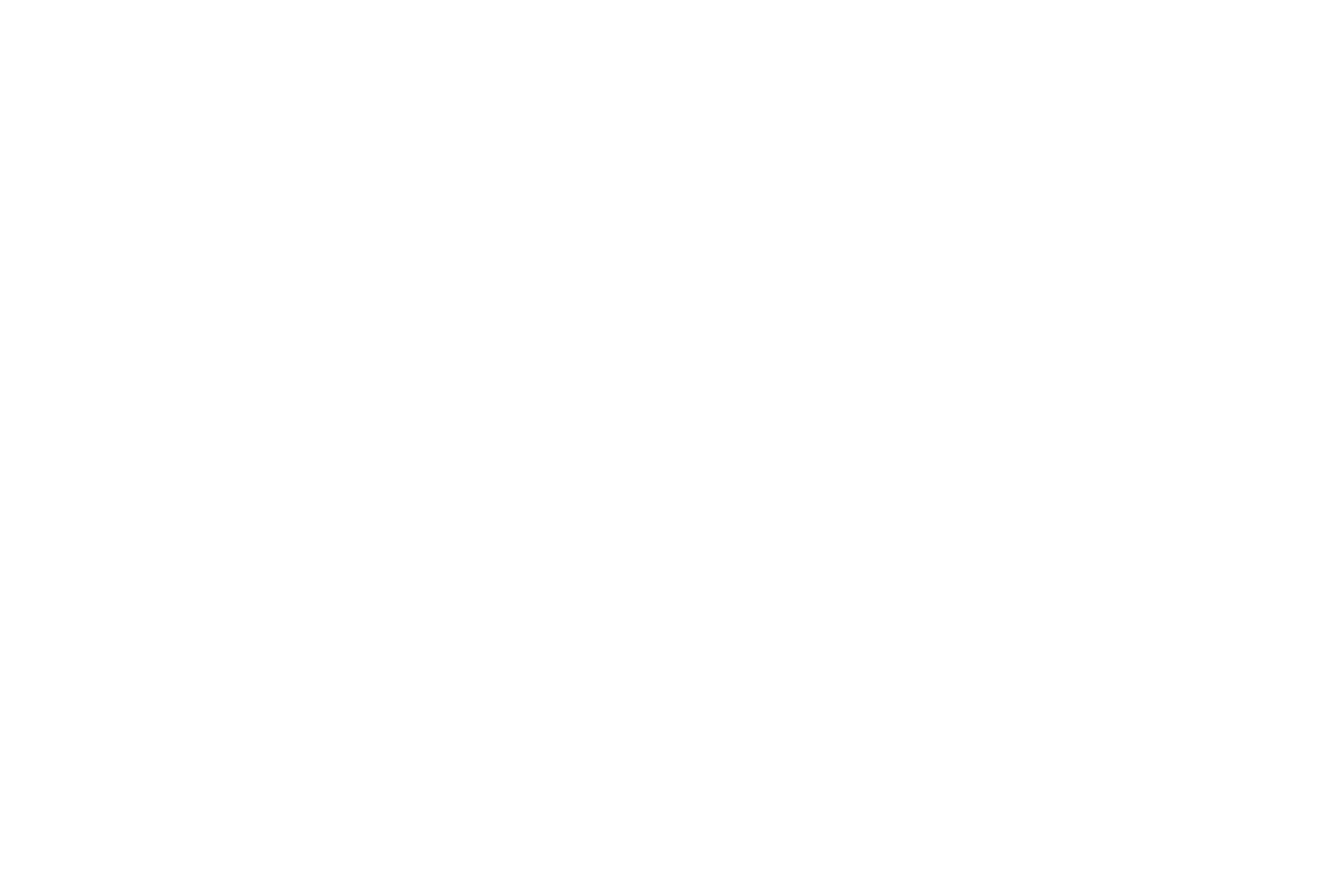 sponsor-image